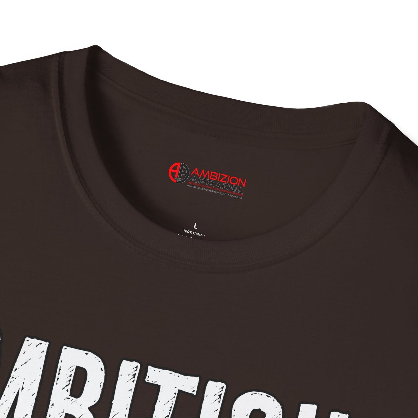 Ambitious and Queer T-Shirt (LGBTQ)