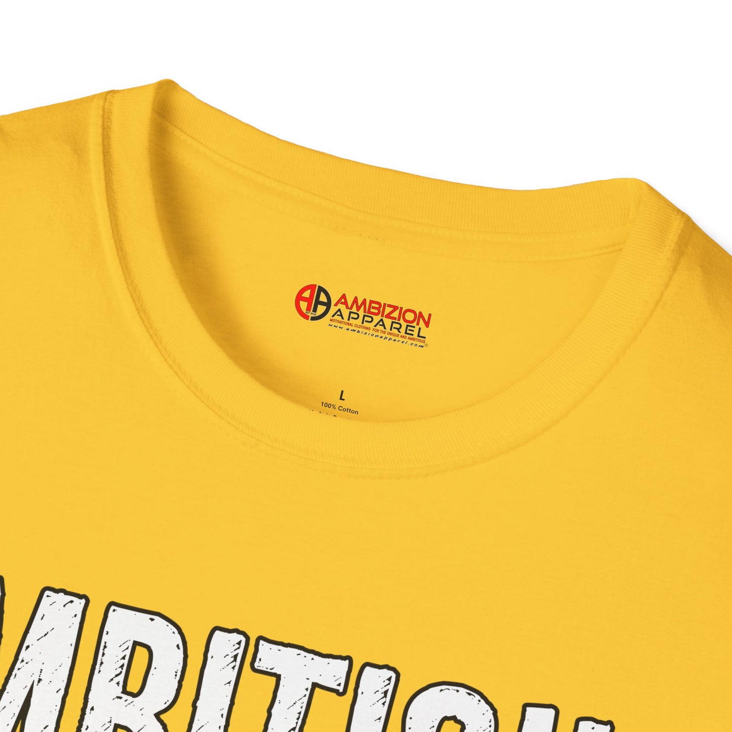 Ambitious and Queer T-Shirt (LGBTQ)