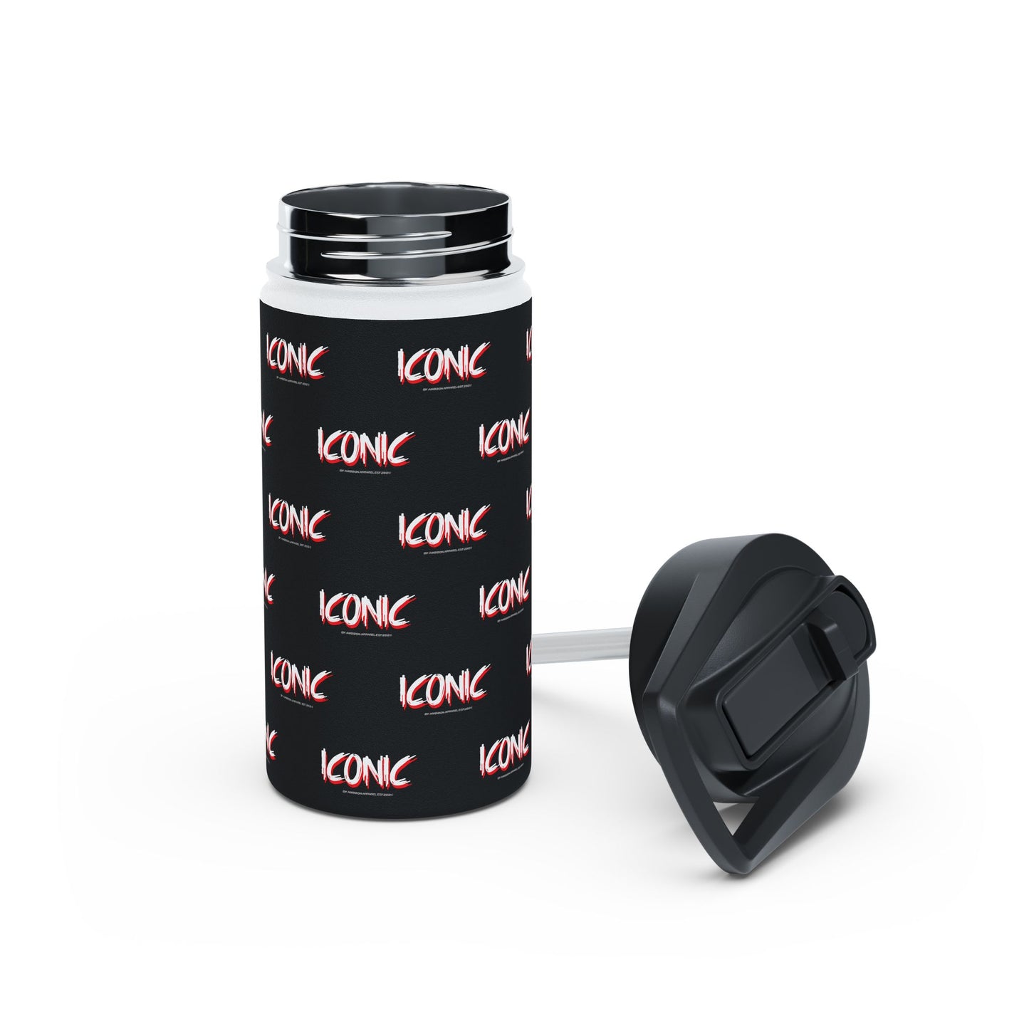 Iconic Stainless Water Bottle — Black