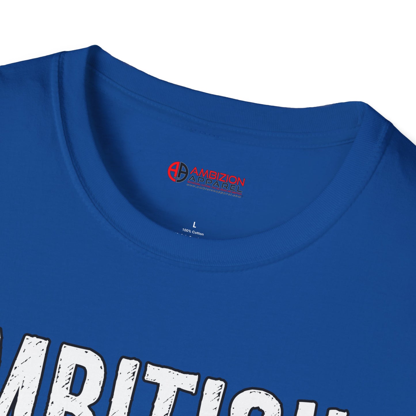 Ambitious and Queer T-Shirt (LGBTQ)