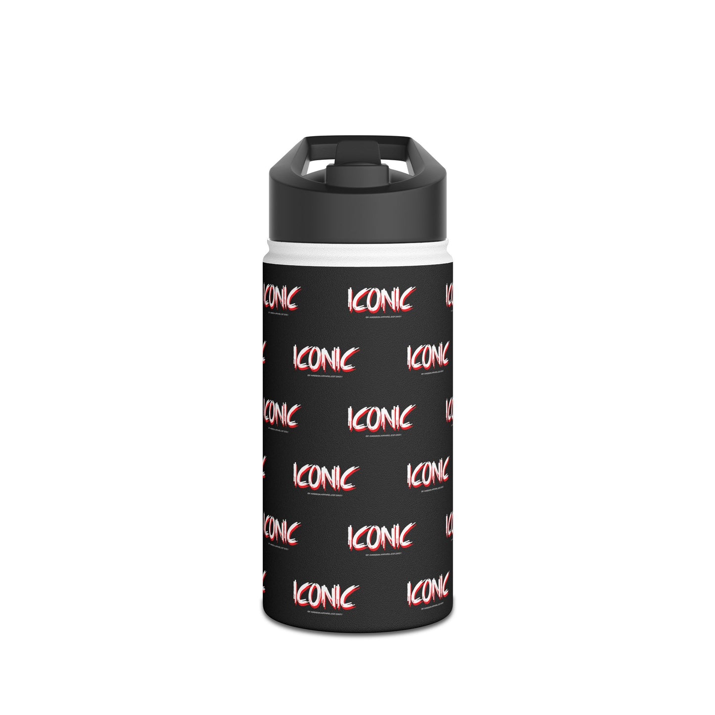Iconic Stainless Water Bottle — Black