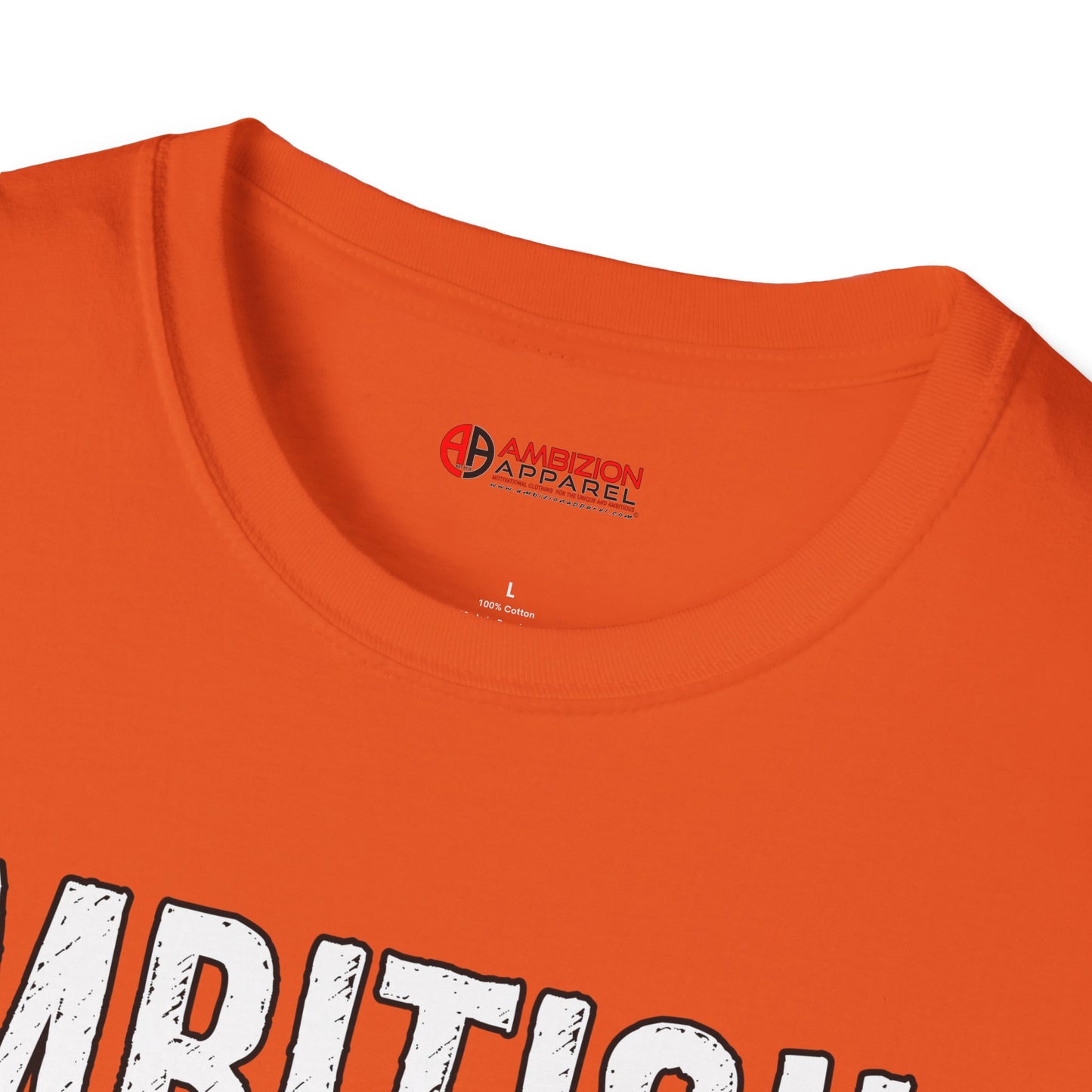 Ambitious and Queer T-Shirt (LGBTQ)